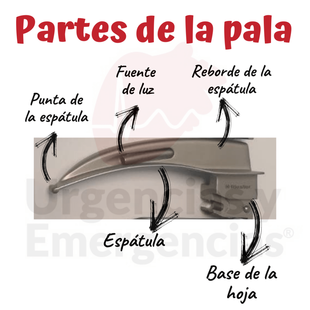 Cómo Varía El Coste De Los Laringoscopios De Anestesia Entre